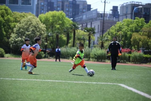 森林狼主场大胜掘金45分 大比分3-3进入抢七